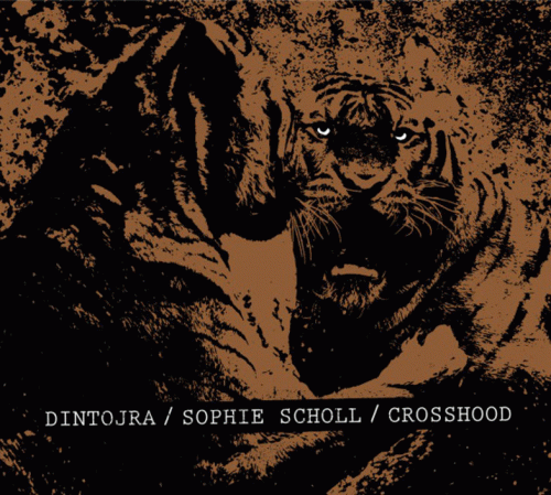 Sophie Scholl : The Split